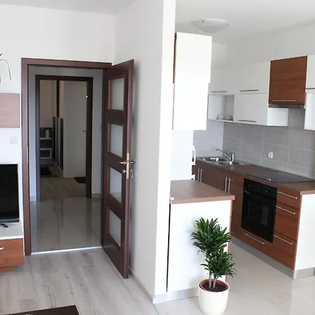 Laurus Kožino