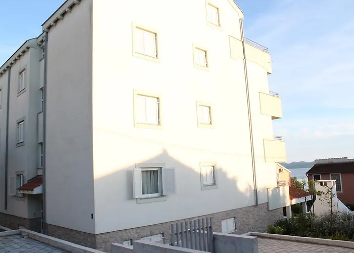 Laurus Kožino