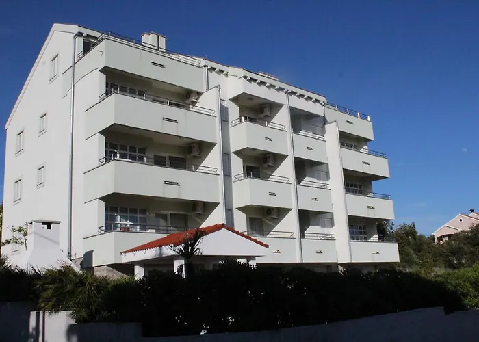 Laurus Kožino
