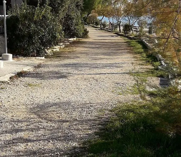 Laurus