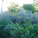 Apartment Laurus