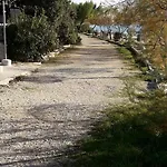 Laurus
