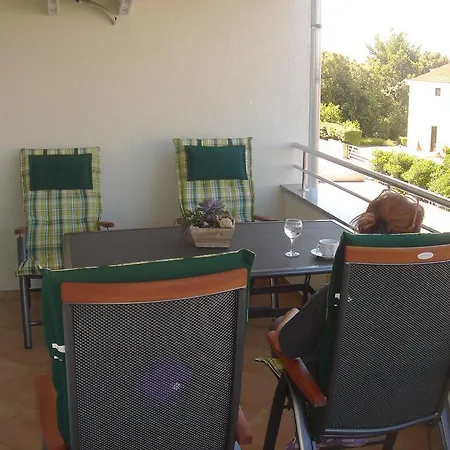 Laurus Kožino