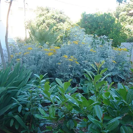 公寓 劳勒斯别墅公寓