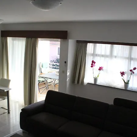Laurus Kožino