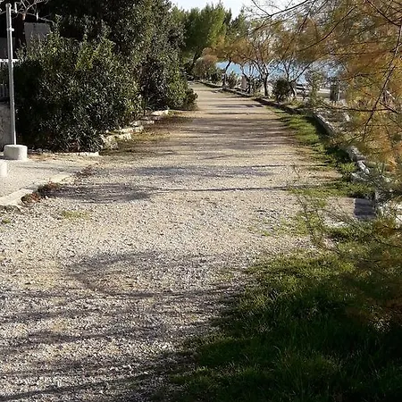 Laurus