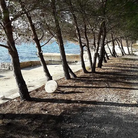 Laurus Lejlighed