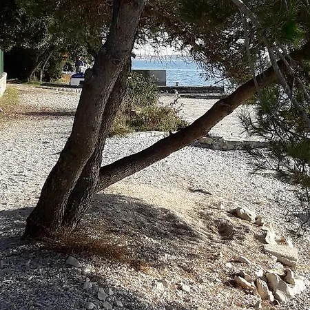 Lejlighed Laurus