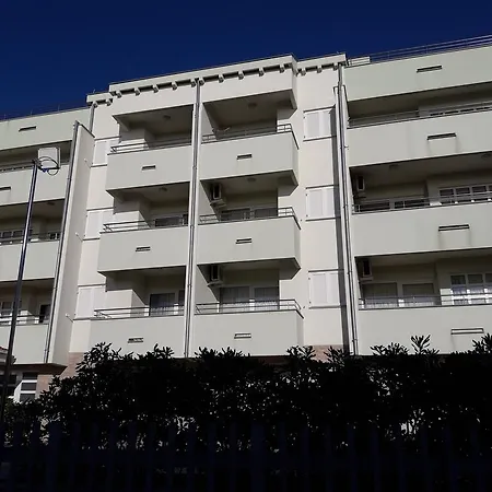 Laurus * Kožino