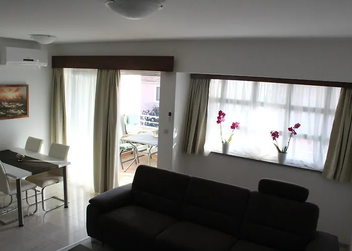 Laurus Kožino
