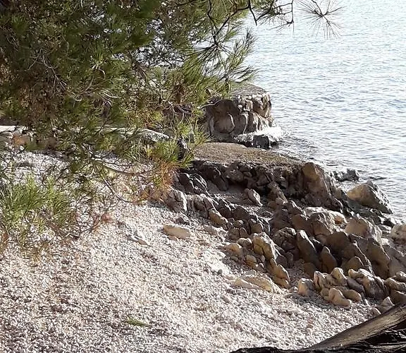 Laurus Daire