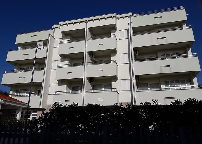 Laurus * Kožino