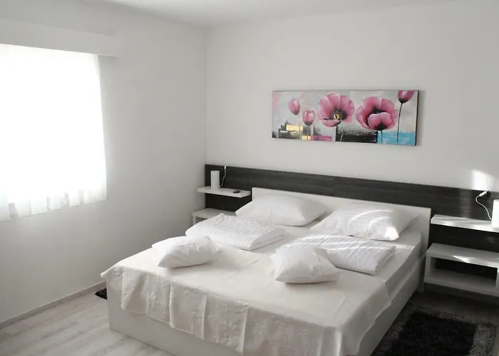 Laurus * Kožino